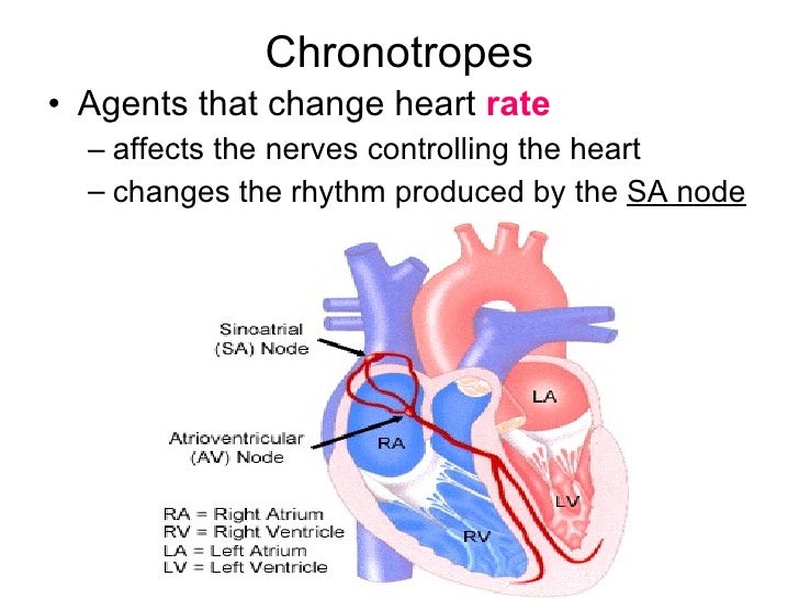 Chronotrope